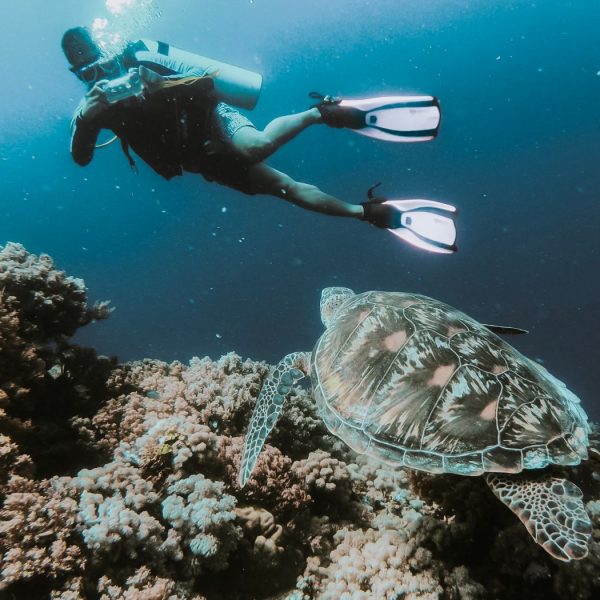 fethiye tüplü dalış, fethiye scuba diving